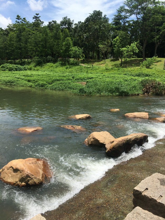 1559FEF1-9D0F-413E-9DEB-632B99843A81