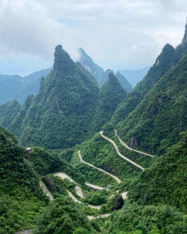 29242A26-3A00-490B-8F48-1F2DE218716D