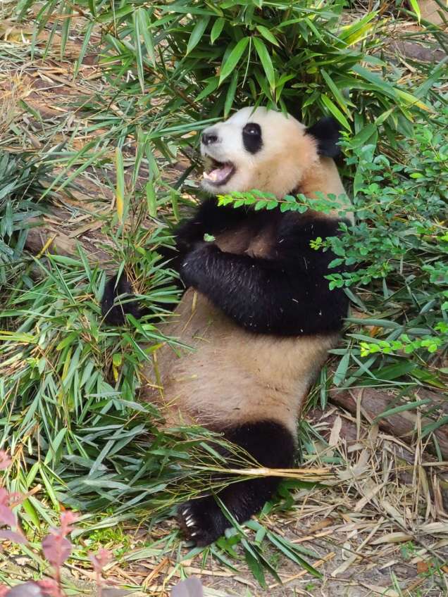 3DC3BA58-254A-42B9-BCB9-22E76C826BCE