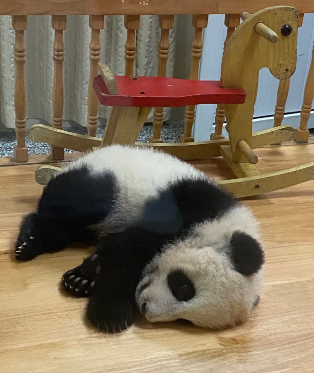 63ED6C9B-748A-47A5-AFDF-5A5A1C20D568_1_201_a