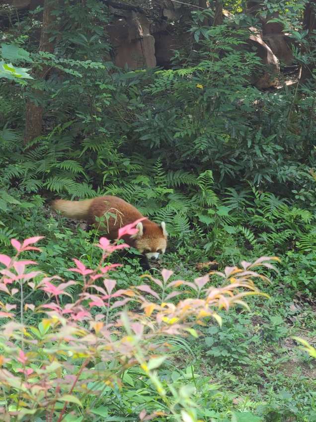 EDD5C023-C31F-4939-977D-D1A447267611